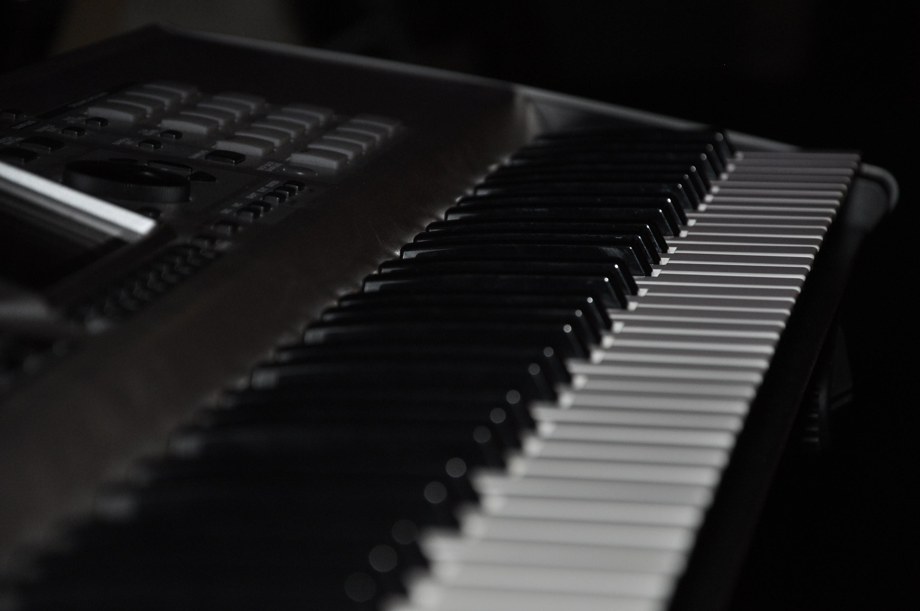 Janine Freitas Música para Eventos